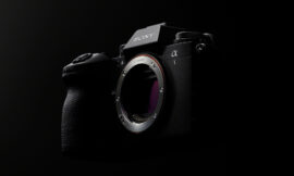 Discover the Sony Alpha 1 Mark II Magic