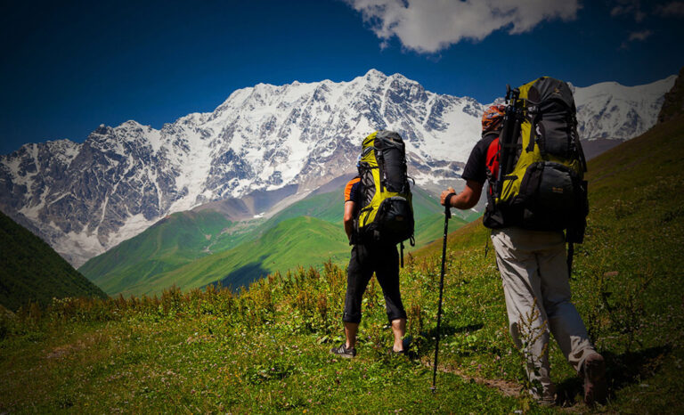 Read more about the article GAUMUKH TAPOVAN TREK