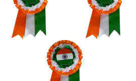 Celebrate Unity with Stylish Tricolor Brooches and Decorations