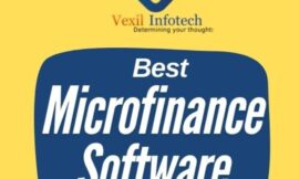 Transform Financial Services with the Best Software for Microfinance