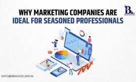 From Strategy to Success: Why Marketing Companies Are Ideal for Seasoned Professionals