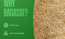 Eco-Friendly Sugarcane Bagasse Products: Sustainable Choice