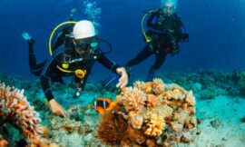 5 Best Dive Sites in Seychelles