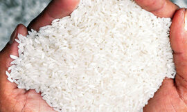 Broken Rice Price Insights: Pakistan 2025