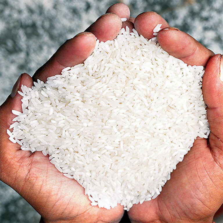 Read more about the article Broken Rice Price Insights: Pakistan 2025