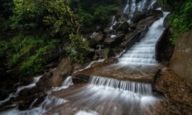 Amboli Ghat Waterfall Tour Packages: A Hidden Gem in Maharashtra’s Western Ghats