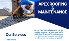 What Should You Expect from Roofing Service Near Coconut Creek Experts?