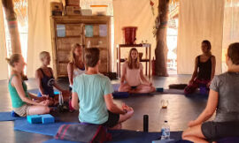 Bali Reiki Trainings: The Perfect Retreat for UK Yogis