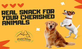 Dehydrated Dog Treats and Chicken Jerky for Dogs: Healthy and Delicious Choices