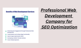 Professional Web Development Company for SEO Optimization