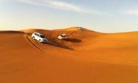 Desert Safari in Jodhpur: A Unique Adventure in Rajasthan’s Golden Desert