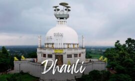 Exploring Dhauli Shanti Stupa: A Symbol of Peace and Spirituality in Bhubaneswar