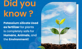 The Hidden Benefits of Potassium Silicate for Disease-Resistant Crops