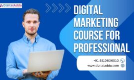 Digital Marketing Course for Professionals