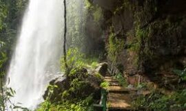 Exploring Byrdaw Falls: The Hidden Gem of Meghalaya