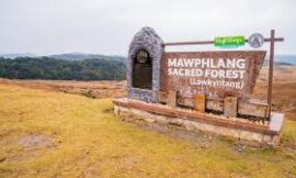 Exploring Mawphlang: A Hidden Gem in Meghalaya