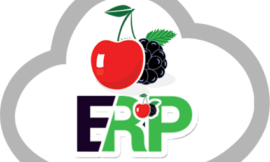 Streamline Your Business Operations with CherryBerry ERP Software