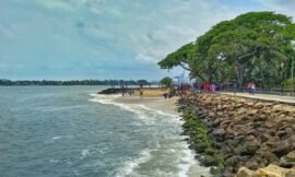 Exploring Fort Kochi: A Historical Gem of Kerala