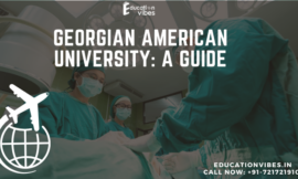 Georgian American University: A Guide