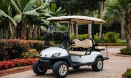 Why Tourist Destinations are Adopting Electric Golf Cart