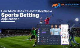 How to Choose the Best Sports Betting Software Developers in India