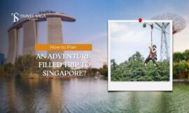 How to Plan an Adventure-Filled Trip to Singapore?