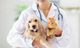 Comprehensive Pet Vaccination Services for Lifelong Wellness