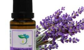 Pure Lavender Essential Oil from Aromatics Canada: A Natural Choice