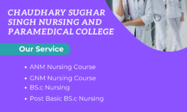 Why You Should Consider Paramedical Courses Over Traditional Medical Degrees