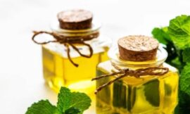 Peppermint Oil Supplier: Your Guide to Finding Quality Essential Oils