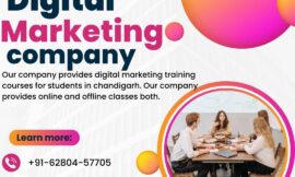 Digital Marketing Training Company in Chandigarh.