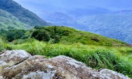 Ponmudi: A Hidden Gem of Kerala’s Hill Stations