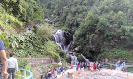 Exploring the Rock Garden of Darjeeling: Timings and Key Information