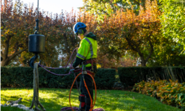 Tree Trimming Services: Maintaining the Health and Beauty of Your Trees