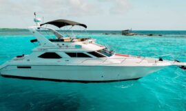 Experience Aruba Like Never Before with a Private Catamaran