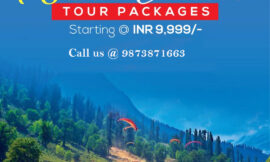 Domestic Tour Packages – Best Affordable Travel Deals in India