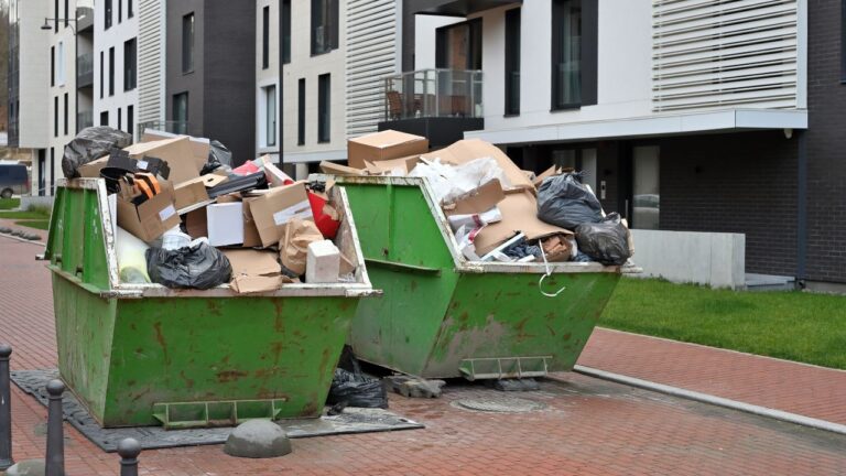 Read more about the article The Environmental Benefits of Using Skip Bins for Waste Management