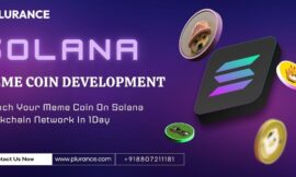 Launch Your Meme Coin on the Solana Blockchain Network with Plurance