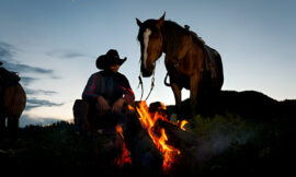 The Role of Nature in Setting the Stage for Cowboy Love Stories