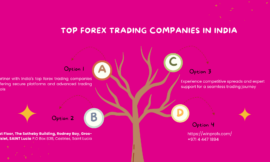 Top Forex Trading Companies In India