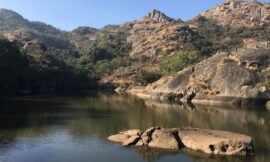 Exploring Trevor’s Tank: A Hidden Gem in Mount Abu, Rajasthan