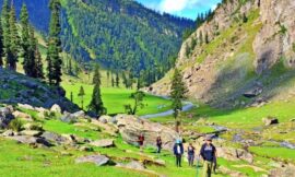 The Nafran Valley Trek is a hidden gem located in the picturesque region of Kashmir, India.