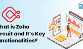 What is Zoho Circuit and Its Key Functionalities?