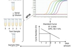 Enhanced Viral Nucleic Acid Residue Assay Kits for Biopharmaceutical Manufacturing