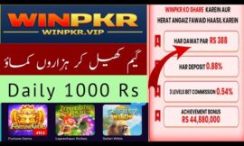 WINPKR APK 2025 Download Latest Version for Android/iOS