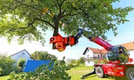 Why Choose Advanced Tree Service for Your Property Needs?