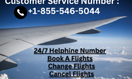 Copa Airlines Customer Service: Contact, Services and Support