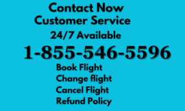 How to Contact JetBlue customer service: Phone, Chat, and Email Options