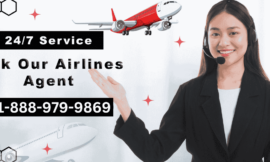 Ways to Reach Lufthansa Airlines Customer Care By Phone Number? An In-Depth Guide