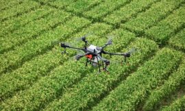 Exploring the Agriculture Drones Market 2025: A Technological Farming Revolution